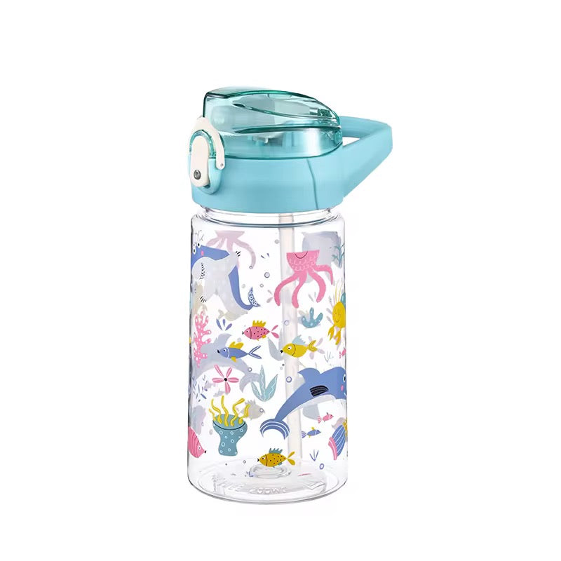 500 ML PLASTIC WATER BOTTLES