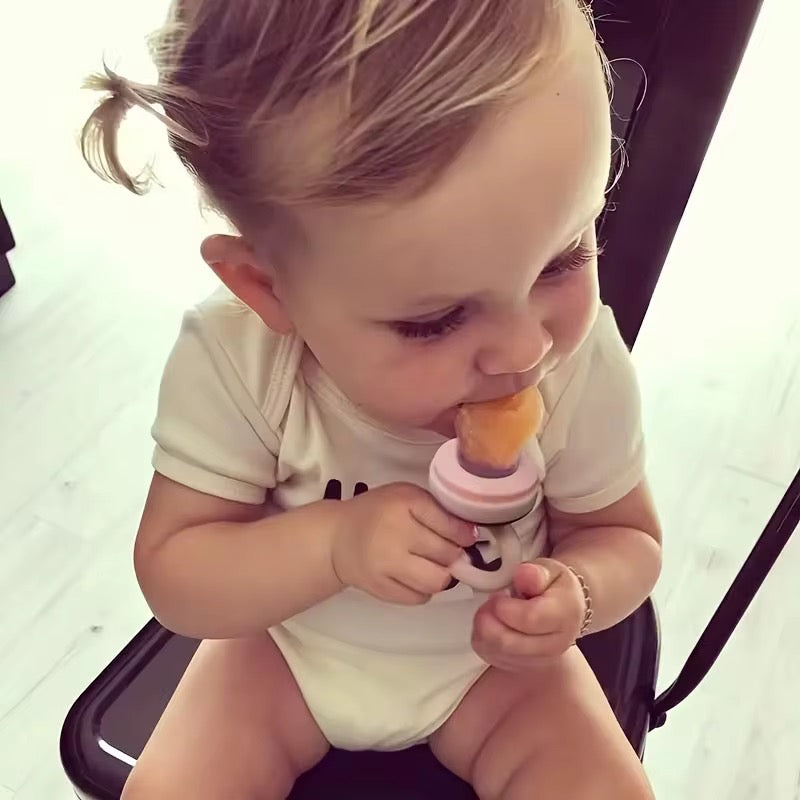 PACIFIER FRESH FOOD FEEDER